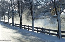 Winter in Niederdorf