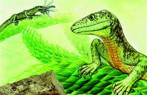 Museum Dolomythos in Innichen