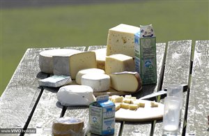 Produkte der Schaukäserei Drei Zinnen Toblach