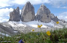 Blick auf die Drei Zinnen in Südtirol
