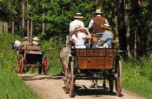 Pferdekutschenfahrt ins Fischleintal