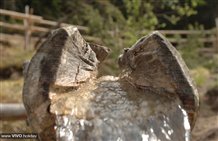 Wanderung nach Toblach zum Drauursprung