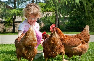 Minizoo Camping Olympia in Niederdorf