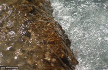 Sextner Bach im Hochpustertal