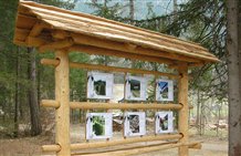 Informationen zum Thema Milch - „Milchmeile“ in Sexten