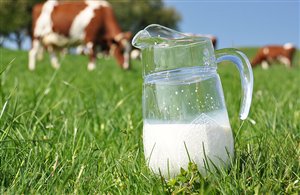 Themenweg „Milchmeile“ in Sexten