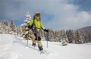 Schneeschuhwandern
