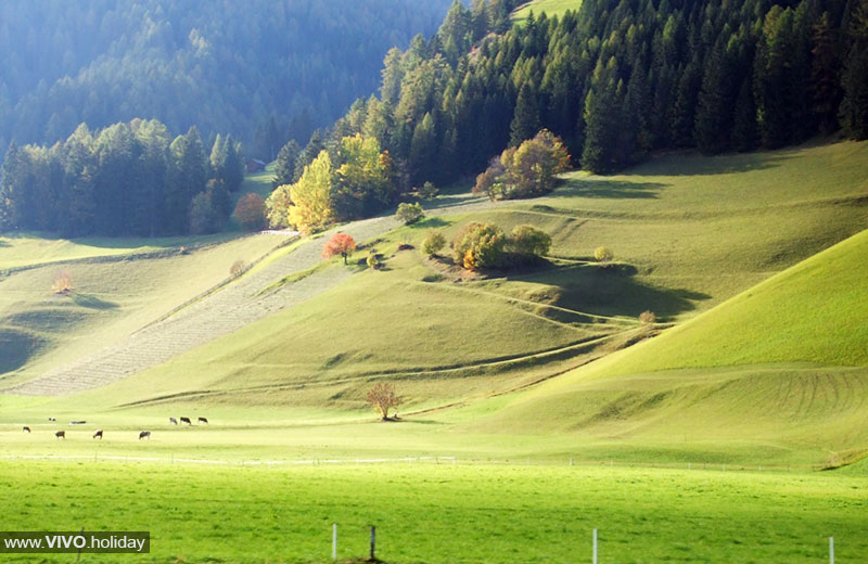 Angebote im Hochpustertal